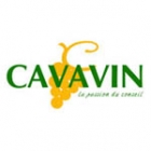 Cavavin Cholet